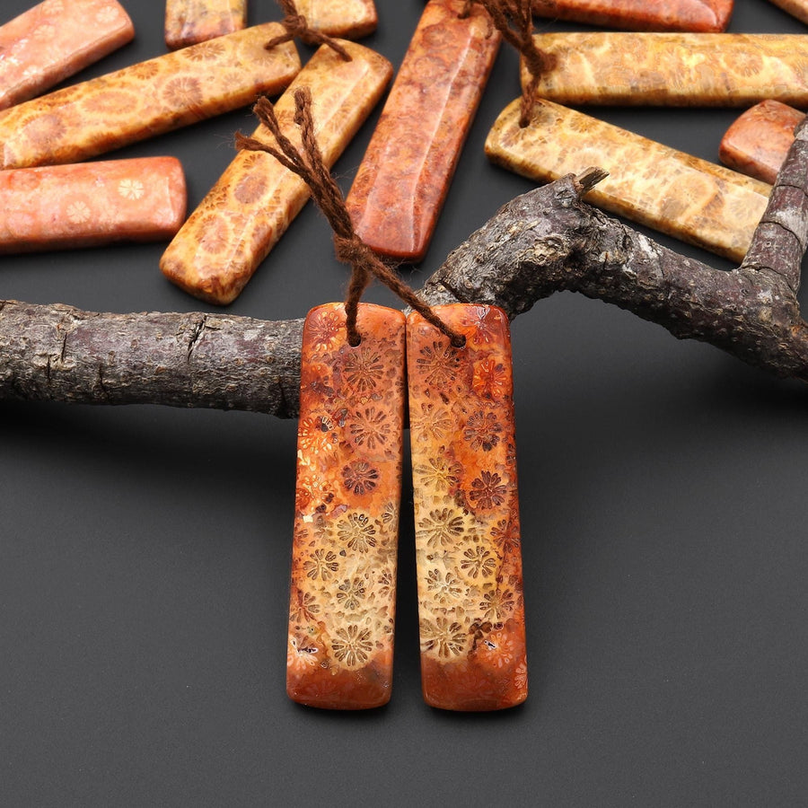 Natural Fossil Coral Rectangle Earring Drilled Matched Gemstone Beads Pair