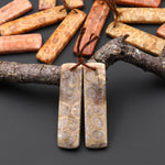 Natural Fossil Coral Rectangle Earring Drilled Matched Gemstone Beads Pair