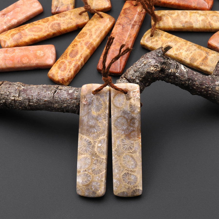 Natural Fossil Coral Rectangle Earring Drilled Matched Gemstone Beads Pair