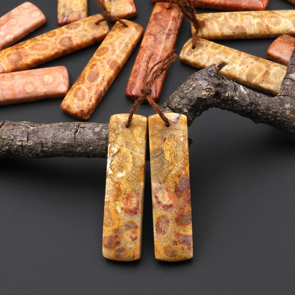 Natural Fossil Coral Rectangle Earring Drilled Matched Gemstone Beads Pair