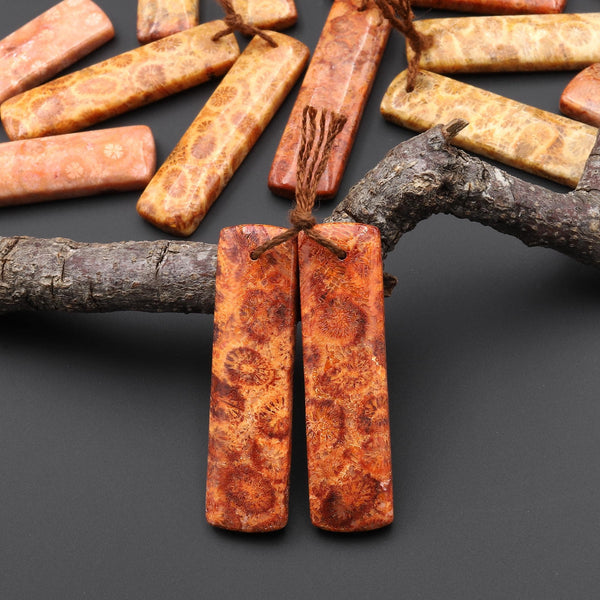 Natural Fossil Coral Rectangle Earring Drilled Matched Gemstone Beads Pair A2