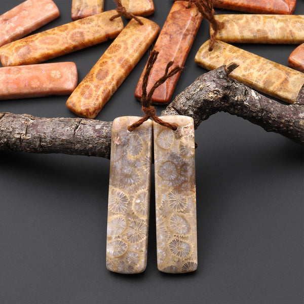 Natural Fossil Coral Rectangle Earring Drilled Matched Gemstone Beads Pair A8