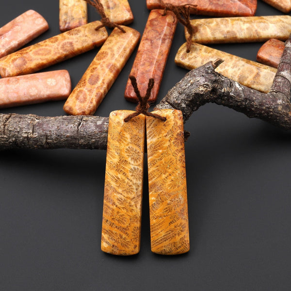 Natural Fossil Coral Rectangle Earring Drilled Matched Gemstone Beads Pair A10