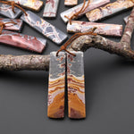 Natural Sonora Dendritic Rhyolite Jasper Long Rectangle Earring Drilled Gemstone Matched Beads Pair From Mexico