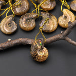 Small Natural Whole Yellow Ammonite Fossil Top Side Drilled Pendant Bead