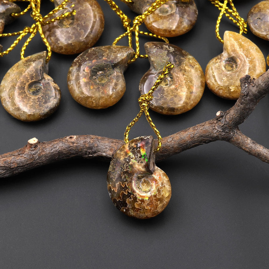 Small Natural Whole Yellow Ammonite Fossil Top Side Drilled Pendant Bead