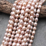 Large Genuine Natural Freshwater Powder Pink Potato Oval Pearl 15.5" Strand