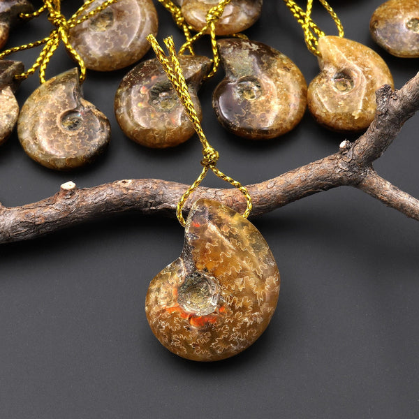 Small Natural Whole Yellow Ammonite Fossil Top Side Drilled Pendant Bead