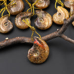Small Natural Whole Yellow Ammonite Fossil Top Side Drilled Pendant Bead