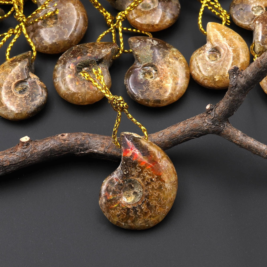 Small Natural Whole Yellow Ammonite Fossil Top Side Drilled Pendant Bead