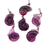AAA Hand Carved Natural Candy Fluorite Dark Mauve Pink Ammonite Pendant