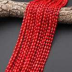 Genuine Red Bamboo Coral Barrel Beads 6mm 15.5" Strand
