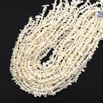 Real Genuine Natural White Coral Branch Beads Center Drilled Freeform Stick 15.5" Strand