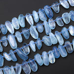 Natural Blue Aquamarine Freeform Oval Pebble Top Side Drilled Beads 15.5" Strand