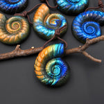 AAA Hand Carved Natural Blue Green Golden Orange Labradorite Ammonite Pendant Side Drilled Gemstone Focal Bead