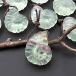 AAA Hand Carved Natural Candy Fluorite Light Green Ammonite Pendant