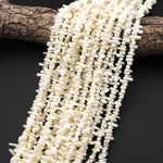 Real Genuine Natural White Coral Branch Beads Center Drilled Freeform Stick 15.5" Strand