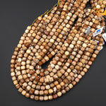 Faceted Natural Picture Jasper 8mm Cube Beads Aka Desert Jasper 15.5" Strand