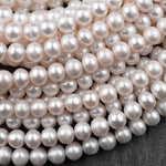 May include: A close-up image of a strand of white pearls. The pearls are round and smooth, and they are arranged in a random pattern. The pearls are all the same size and shape, and they have a high luster.