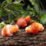 Hand-Carved Natural Banded Orange Carnelian Turtle Figurine Crystal Miniature