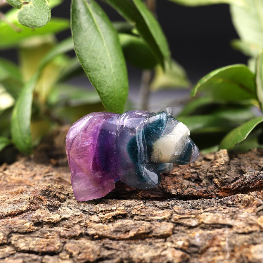 Hand-Carved Natural Fluorite Bear Figurine Crystal Miniature 2"