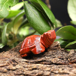 Hand-Carved Natural Red Jasper Turtle Figurine Crystal Miniature