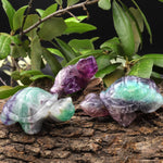 Hand-Carved Natural Fluorite Turtle Figurine Crystal Miniature