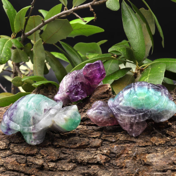 Hand-Carved Natural Fluorite Turtle Figurine Crystal Miniature