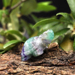 Hand-Carved Natural Fluorite Turtle Figurine Crystal Miniature