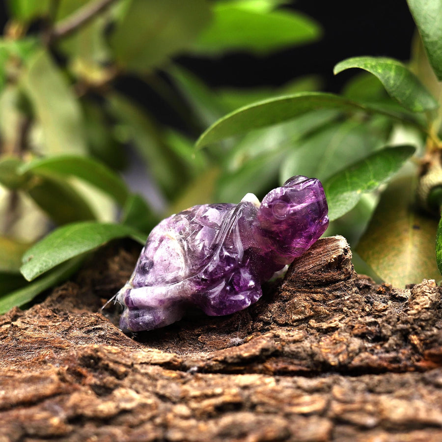 Hand-Carved Natural Fluorite Turtle Figurine Crystal Miniature