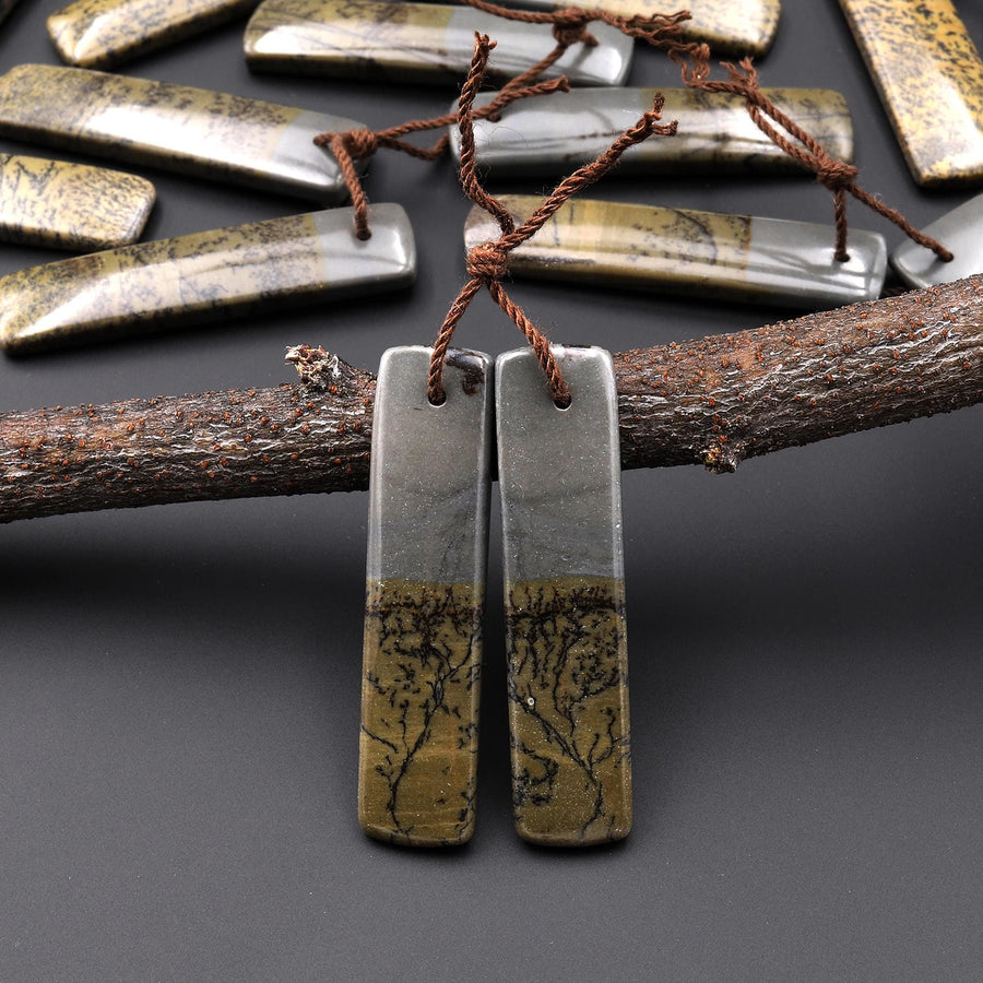 Natural Wild Horse Picture Jasper Rectangle Earring Pair Cabochon Cab Drilled Matched Gemstone Bead Pair