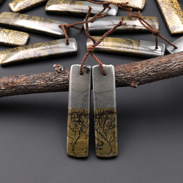 Natural Wild Horse Picture Jasper Rectangle Earring Pair Cabochon Cab Drilled Matched Gemstone Bead Pair A44