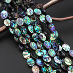 AAA Natural Abalone Shell 8mm 10mm 14mm 18mm Oval Beads Iridescent Rainbow Glow Blue Green Red Pink Flashes 15.5" Strand