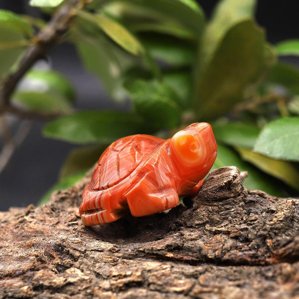 Hand-Carved Natural Banded Orange Carnelian Turtle Figurine Crystal Miniature