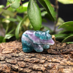 Hand-Carved Natural Fluorite Bear Figurine Crystal Miniature 2"