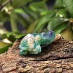 Hand-Carved Natural Fluorite Turtle Figurine Crystal Miniature