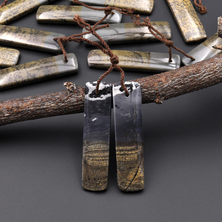 Natural Wild Horse Picture Jasper Rectangle Earring Pair Cabochon Cab Drilled Matched Gemstone Bead Pair