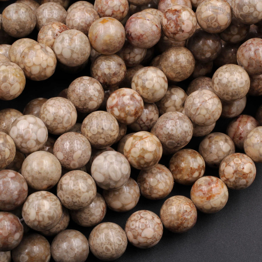 May include: A close-up of a strand of light brown and beige round beads with a speckled pattern. The beads are made of fossilized coral and are arranged in a random pattern.