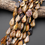 AAA Vertically Drilled Natural Petrified Wood Smooth Teardrop Beads 15.5" Strand
