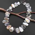 AAA Natural Montana Agate Freeform Teardrop Focal Pendant Beads Top Side Drilled 15.5" Strand