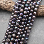 Large Black Peacock Pearl 10mm 12mm Off Round Organic Shape 15" Strand