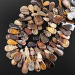 AAA Natural Petrified Wood Smooth Side Drilled Teardrop Beads 15.5" Strand