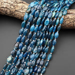 Natural Teal Blue Apatite Smooth Oval 8x12mm Beads 15.5" Strand