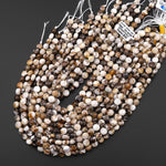 Faceted Natural Petrified Wooden Opal Coin Beads 8mm Earthy Beige Brown Yellow Gray Natural Stone 15.5" Strand