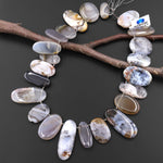 AAA Natural Montana Agate Freeform Long Oval Focal Pendant Beads Top Side Drilled 15.5" Strand