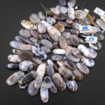 AAA Natural Montana Agate Freeform Long Oval Focal Pendant Beads Top Side Drilled 15.5" Strand