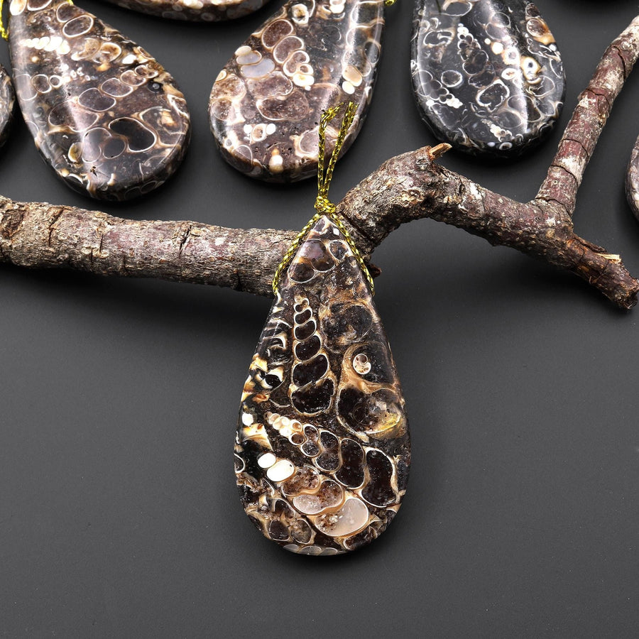 Natural Turritella Agate Fossil Side Drilled Teardrop Pendant from Wyoming USA