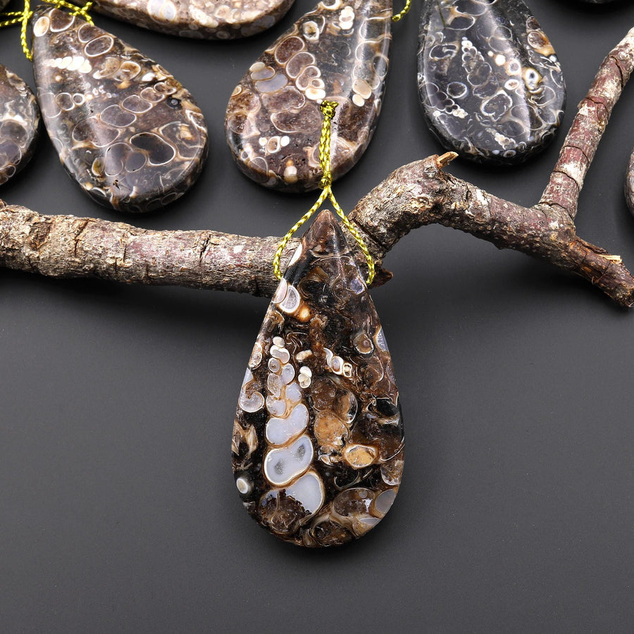 Natural Turritella Agate Fossil Side Drilled Teardrop Pendant from Wyoming USA