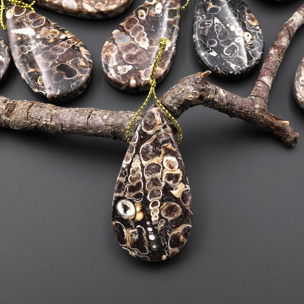 Natural Turritella Agate Fossil Side Drilled Teardrop Pendant from Wyoming USA