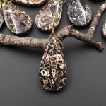 Natural Turritella Agate Fossil Side Drilled Teardrop Pendant from Wyoming USA